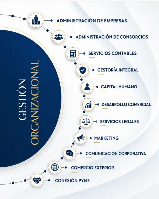 Las doce áreas de servicio de Working Team Pilar organizadas alrededor de la gestión organizacional